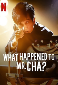 What Happened to Mr. Cha (2021) ชาอินพโย สุภาพบุรุษสุดขั้ว