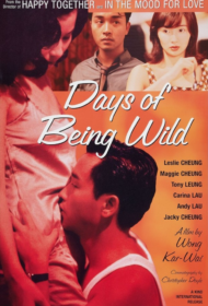 Days Of Being Wild (1990) วันที่หัวใจรักกล้าตัดขอบฟ้า